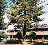 Eastern Beach Holiday Units - eTourism Australia