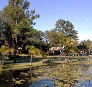 Twin Lakes Hotel - eTourism Australia