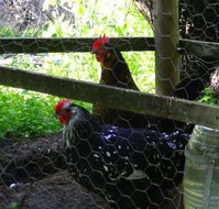 Norma's Place - eTourism Australia