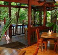 Daintree Wilderness Lodge