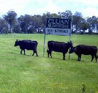 Cluan Homestead - The Managers Residence - eTourism Australia