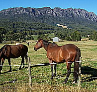 Hurlfield Farm Cottage - eTourism Australia