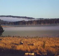 Fonthill - eTourism Australia