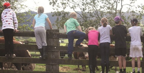 Ashmar Farm Stay - eTourism Australia 4