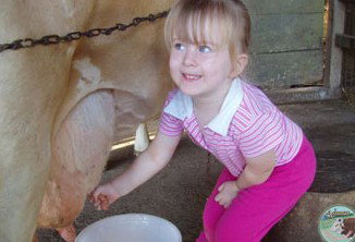 Ashmar Farm Stay - eTourism Australia 5