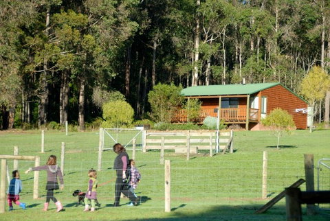 Diamond Forest Farm Stay - eTourism Australia 0