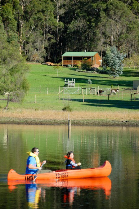 Diamond Forest Farm Stay - eTourism Australia 2