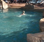 Undara Experience Lava Lodge - eTourism Australia