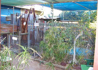 Safari Lodge Motel - eTourism Australia 1