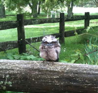 Milton Park - eTourism Australia