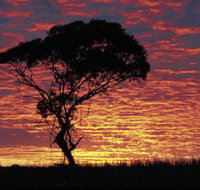 Kimba Caravan Park amp Motel - eTourism Australia