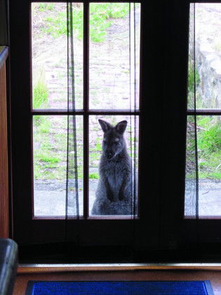 VARUNA - eTourism Australia 4