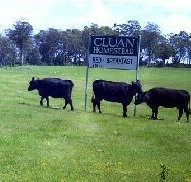 Cluan Homestead - eTourism Australia