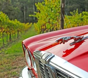 Valley Farm Vineyard Cottages - eTourism Australia 1