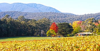 Valley Farm Vineyard Cottages - eTourism Australia 11