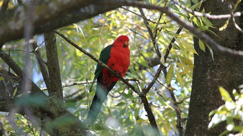 Gentle Annie Caravan And Camping Reserve - eTourism Australia 2