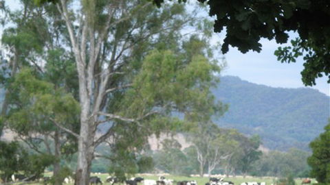 Gentle Annie Caravan And Camping Reserve - eTourism Australia 3