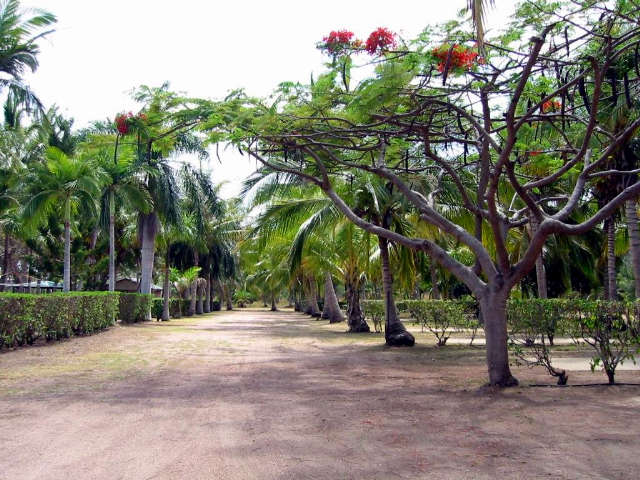 Alva QLD eTourism Australia