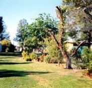 Condamine River Caravan Park - eTourism Australia
