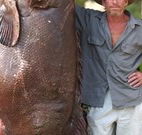 Michael's Clarence Valley Retreat - eTourism Australia