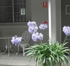 Pine Lodge Motel - Woolgoolga