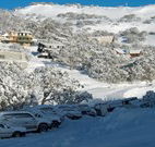 The Lions Lair Lodge