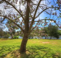 Breakaway Twin Rivers Caravan Park - eTourism Australia