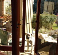 Mara Ponds Branxholm - eTourism Australia