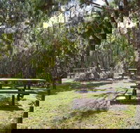 Illaroo group camping area