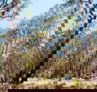 Coolah Tops National Park Camping