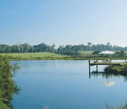 Forest Rise Eco Retreat - eTourism Australia