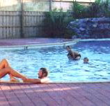 Shark Bay Caravan Park - eTourism Australia