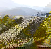 Rosetta's Garden Guesthouse