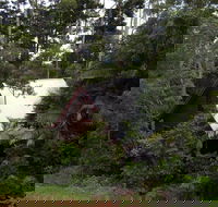 Turkeys Nest Rainforest Cottages Mt Glorious