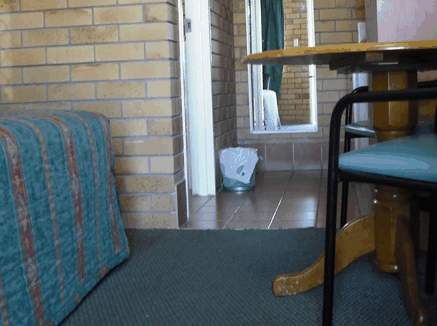 Dragon  Phoenix Motel - eTourism Australia