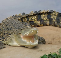 Dundee's Wildlife Park - eTourism Australia