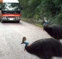 Kookaburra Tours - eTourism Australia