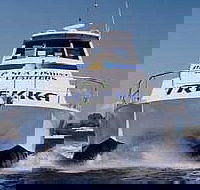 Sunshine Coast Fishing Charters