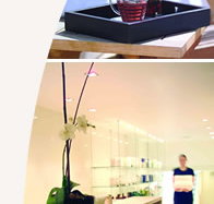 Lyall Hotel and Spa - eTourism Australia