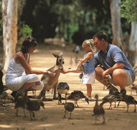 Billabong Sanctuary - eTourism Australia