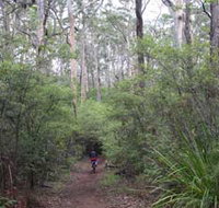 Margaret River Rails Trail - eTourism Australia