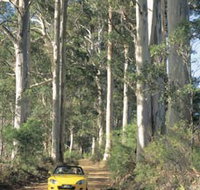 Scotsdale Tourist Drive - eTourism Australia