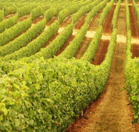 Cullen Wines - eTourism Australia