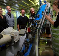 Eyre Peninsula's Seafood Trail - eTourism Australia