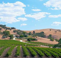 Bethany Wines - eTourism Australia
