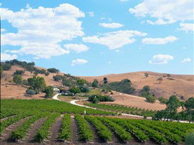 Bethany Wines - eTourism Australia 0