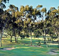Tanunda Pines Golf Club - eTourism Australia