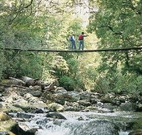 Arve Forest Drive - eTourism Australia