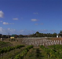 Deep Creek Wines and Alpacas - eTourism Australia