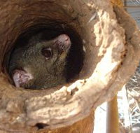 Mulga Sanctuary and Wildlife Park - eTourism Australia